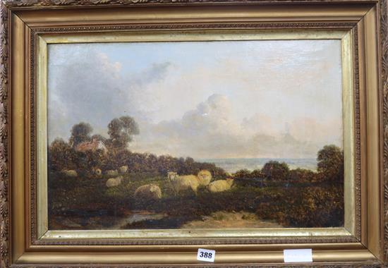 Victorian School, oil on canvas, Sheep in a landscape, 35 x 55cm.